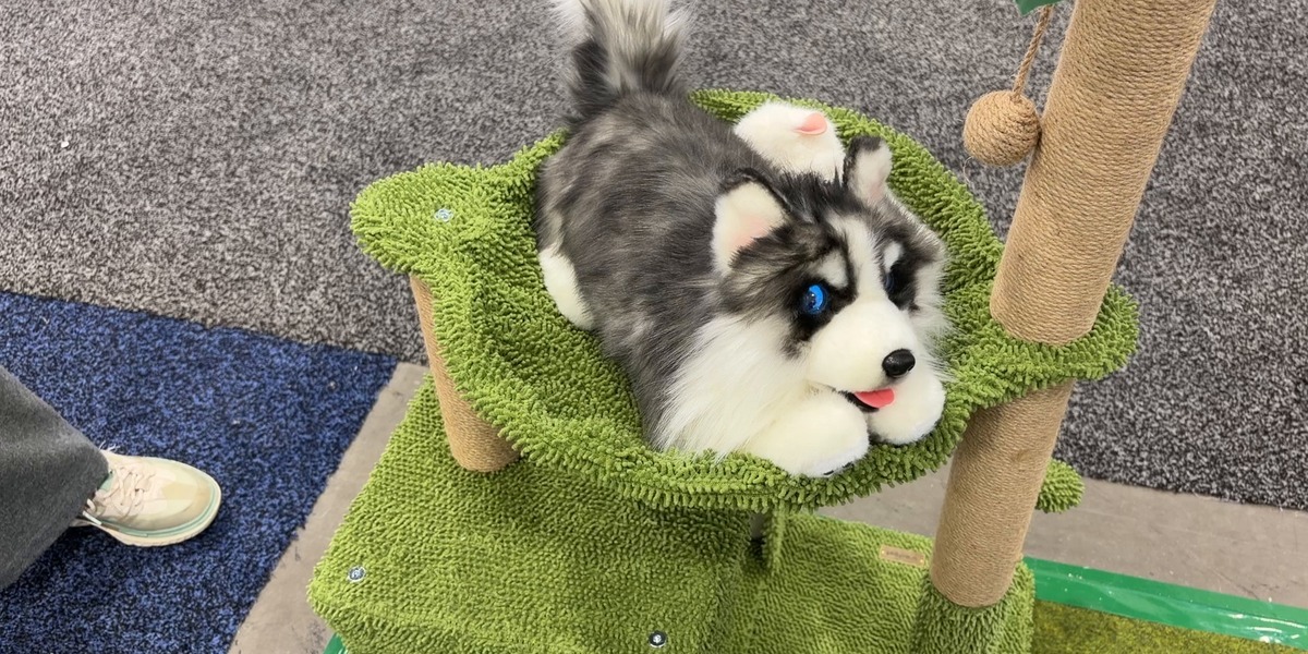 ces_dog_frame_1200x600 (1)